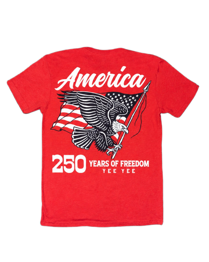 America Tee – view 6