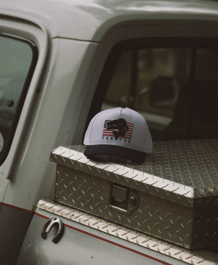 White cap with black bear design on a metallic toolbox of a truck