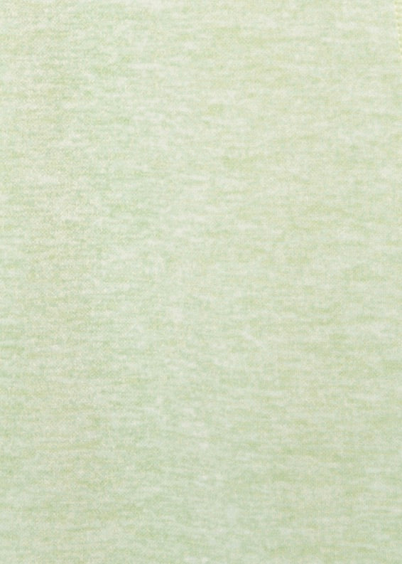 LUXE SCRUNCH SHORTS - MINT