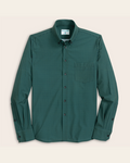 Forest green and navy gingham shirt. Black buttons. Button down collar.