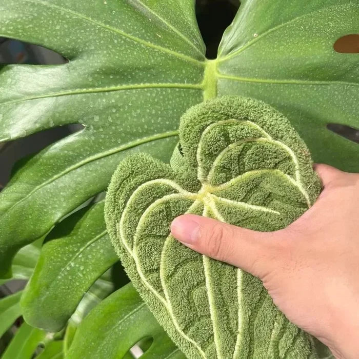 Tropical Leaf Design Hand Towel with Hanging Loop