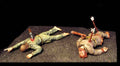 VIKINGS VA 018 SAXON DEAD casualties